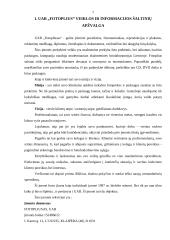 Įmonės personalas kaip sėkmės veiksnys 7 puslapis