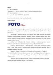 Įmonės personalas kaip sėkmės veiksnys 8 puslapis