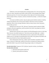 Įmonės planuojamos gaminti produkcijos pelningumo ekonominis pagrindimas: baldų gamyba UAB "Ąžuolynas" 3 puslapis