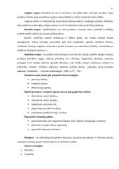 Įmonės rinkodaros planas: viešbutis "Sfinksas" 11 puslapis