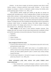 Įmonės rinkodaros planas: viešbutis "Sfinksas" 12 puslapis