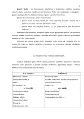 Įmonės rinkodaros planas: viešbutis "Sfinksas" 6 puslapis