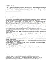 Įmonės situacijos analizė: UAB "Klaipėdos baldai" 3 puslapis