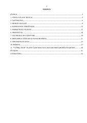 Įmonės steigimo galimybių įvertinimas: "Vyšnių ūkis" 2 puslapis