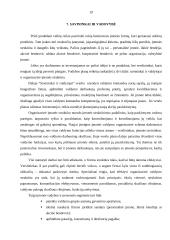 Įmonės steigimo galimybių įvertinimas: "Vyšnių ūkis" 19 puslapis