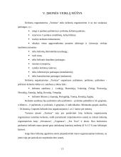 Įmonės steigimo ir veiklos organizavimo projektas: kelionių organizatorius "Turistas" 13 puslapis
