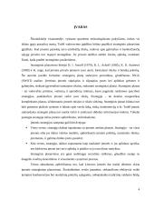 Įmonės strateginio plano analizė: UAB "Ryterna" 2 puslapis