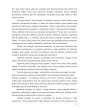 Įmonės strateginio plano analizė: UAB "Ryterna" 13 puslapis