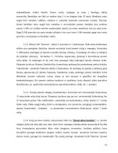 Įmonės strateginio plano analizė: UAB "Ryterna" 17 puslapis