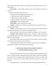 Įmonės strateginio plano analizė: UAB "Ryterna" 3 puslapis