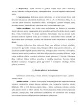 Įmonės strateginio plano analizė: UAB "Ryterna" 6 puslapis