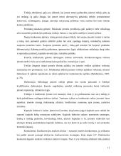 Įmonės strateginio plano analizė: UAB "Ryterna" 9 puslapis