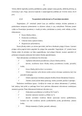 Įmonės tarpvalstybiniai atsiskaitymai su rytų ir vakarų valstybėmis 15 puslapis