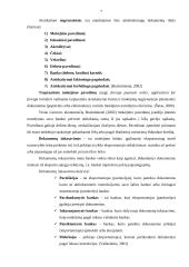 Įmonės tarpvalstybiniai atsiskaitymai su rytų ir vakarų valstybėmis 7 puslapis