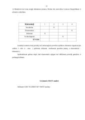 Įmonės valdymo analizė: UAB "Julimatas" 11 puslapis