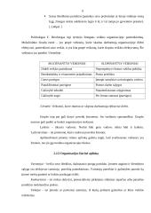 Įmonės valdymo analizė: UAB "Julimatas" 6 puslapis
