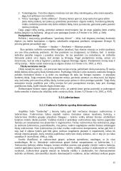 Įmonės valdymo funkcijų analizė 14 puslapis