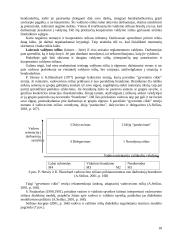 Įmonės valdymo funkcijų analizė 17 puslapis