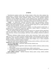 Įmonės valdymo funkcijų analizė 2 puslapis