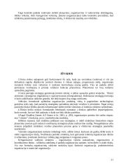 Įmonės valdymo funkcijų analizė 20 puslapis