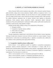 Įmonės veiklos analizė 11 puslapis