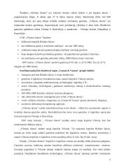 Įmonės veiklos analizė duonos kepykla UAB "Vilniaus duona" 3 puslapis