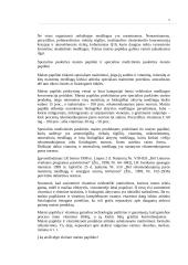 Įmonės veiklos analizė: maisto papildai sportininkams UAB "Sportkoop" 5 puslapis