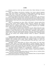 Įmonės veiklos analizė: siuvimo reikmenų prekyba UAB "Gebenė" 2 puslapis