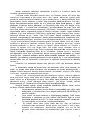 Įmonės veiklos analizė: siuvimo reikmenų prekyba UAB "Gebenė" 5 puslapis