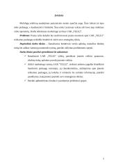 Įmonės veiklos analizė: telekomunikacijos UAB "TELE2" 2 puslapis