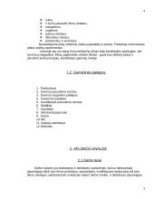 Įmonės veiklos aprašymas: UAB "Alaista" 2 puslapis