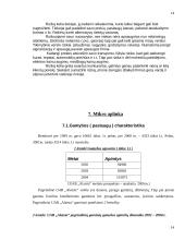 Įmonės veiklos aprašymas: UAB "Alaista" 12 puslapis