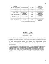 Įmonės veiklos aprašymas: UAB "Alaista" 16 puslapis