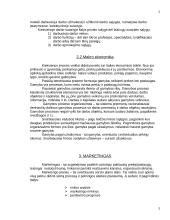 Įmonės veiklos aprašymas: UAB "Alaista" 3 puslapis