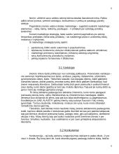 Įmonės veiklos aprašymas: UAB "Alaista" 4 puslapis
