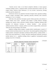 Įmonės veiklos metinio plano apskaičiavimas 17 puslapis