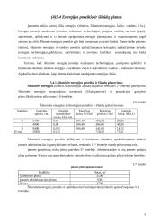 Įmonės veiklos metinio plano apskaičiavimas 8 puslapis
