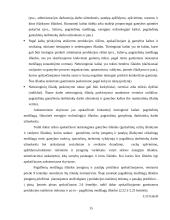 Įmonės veiklos planavimas 15 puslapis