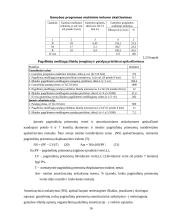 Įmonės veiklos planavimas 16 puslapis
