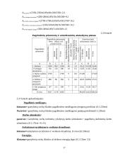 Įmonės veiklos planavimas 17 puslapis