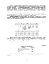 Įmonės veiklos planavimas 7 puslapis