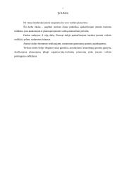 Įmonės veiklos ir produkcijos gamybos planavimas 3 puslapis