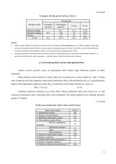 Įmonės veiklos planavimas su skaičiavimais 11 puslapis