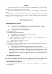 Įmonės veiklos planavimas su skaičiavimais 3 puslapis