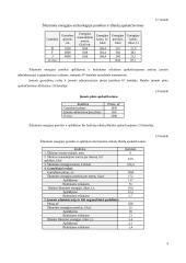 Įmonės veiklos planavimas su skaičiavimais 8 puslapis