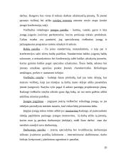 Įmonės, teikiančios apgyvendinimo paslaugas (viešbučio), organizavimo proceso valdymas: viešbutis Conti (UAB "Letėjos Gastronomi 20 puslapis