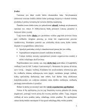 Įmonės, teikiančios apgyvendinimo paslaugas (viešbučio), organizavimo proceso valdymas: viešbutis Conti (UAB "Letėjos Gastronomi 3 puslapis