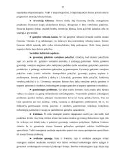 Įmonių lyderių rinkodaros politika 12 puslapis