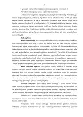 Įmonių lyderių rinkodaros politika 14 puslapis