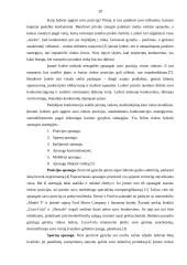 Įmonių lyderių rinkodaros politika 20 puslapis